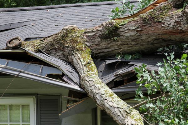 Storm Remediation in Brownsburg