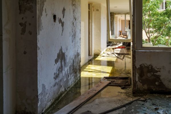 Water Removal Service in Brownsburg