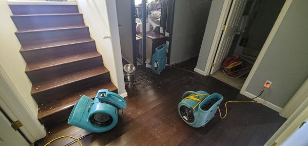 Water Damage Remediation in Brownsburg