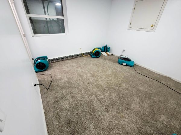 Flood Restoration Service in Brownsburg
