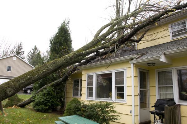 Hurricane Damage Repair in Brownsburg