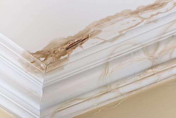 Water Damage Recovery in Brownsburg